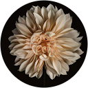 Sandra Martin P. profile picture